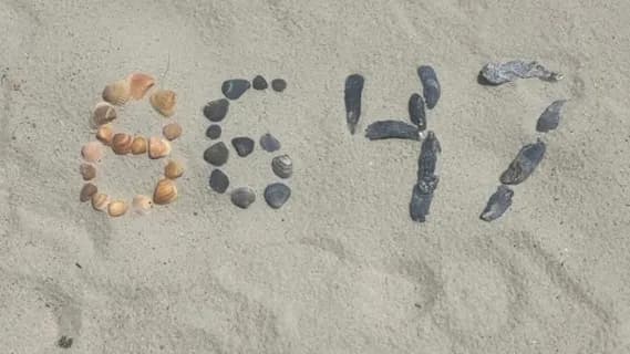 Seashells spelling out '86 47' from James Comey's deleted Instagram post on a North Carolina beach